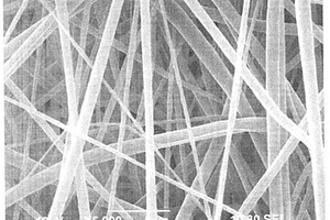 鋰離子電池薄膜原位制備方法、鋰離子電池薄膜以及電池
