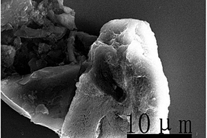 生物硅碳材料的制備方法、生物硅碳材料及應用