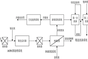 高含鹽有機廢水處理系統及方法