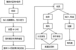 利用黑水虻處理屠宰后廢棄畜禽胃腸內容物的方法