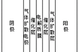 用于質子交換膜電解池特性分析的二維穩態模型建立方法