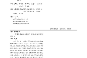 藻紅蛋白標記抗STI抗體、制備方法及其用途