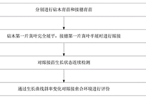 瓜類嫁接苗愈合期生長無損檢測和愈合環境評價方法
