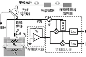 基于表面態吸收原理的垂直耦合透明光電探測器