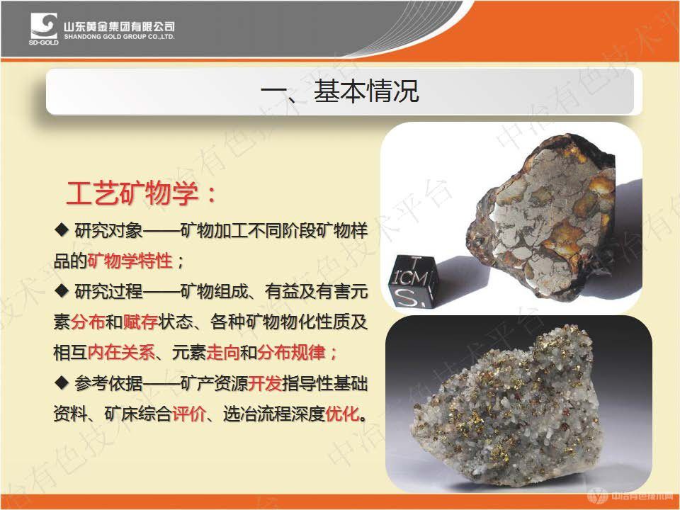 工藝礦物學在黃金選冶過程中的研究與應用
