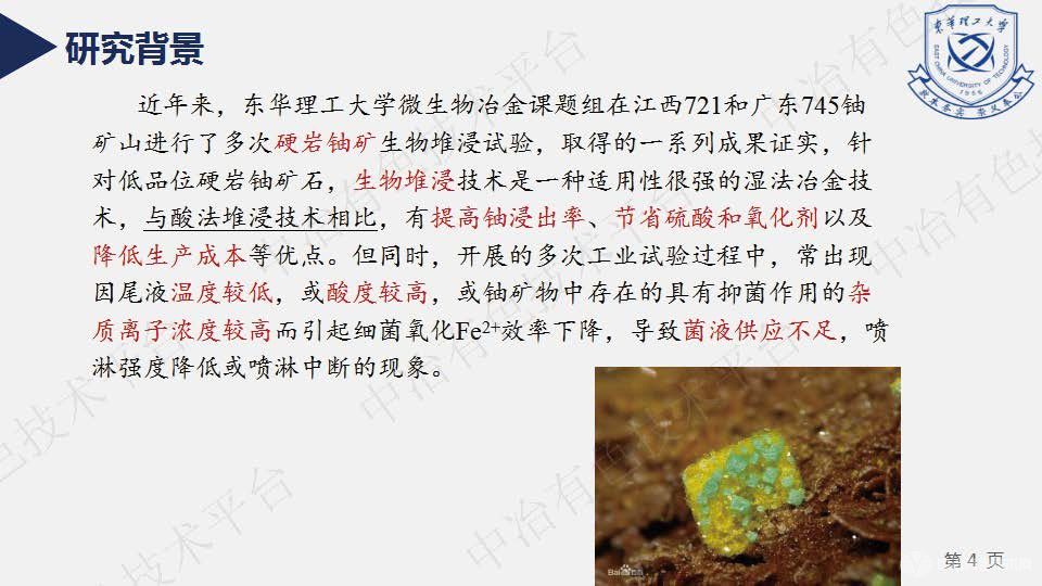 固定化連續培養浸礦菌的方法及浸鈾試驗研究