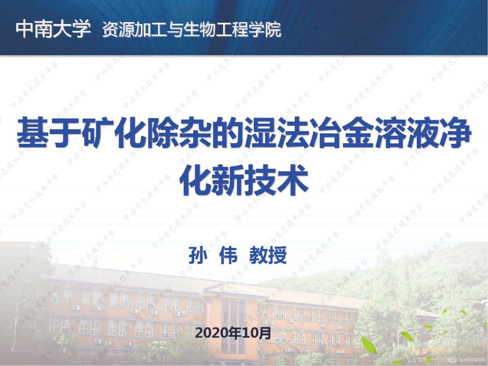 基于礦化除雜的濕法冶金溶液凈化新技術