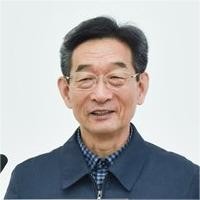 毛景文中國地質科學院礦產資源研究所