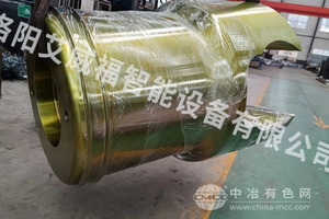 大聯軸器