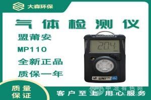硫化氫/一氧化碳 氣體檢測儀