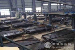 超大型水洗搖床