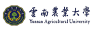 云南大學