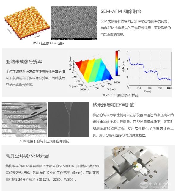 EM-AFM 電鏡原位原子力顯微鏡