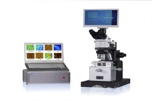 FM-Nanoview LS-AFM