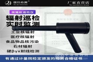 環境級x γ輻射測量儀