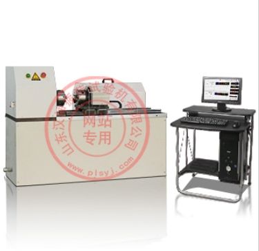 100N.m電子伺服扭轉疲勞試驗機